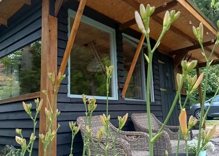 キャンプ場 Gemuetliche Schlafhuette Niederorschel